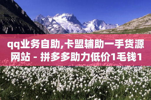 qq业务自助,卡盟辅助一手货源网站 - 拼多多助力低价1毛钱10个 - 拼多多砍一刀助力平台网站-第1张图片-靖非智能科技传媒