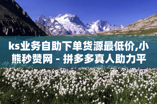 ks业务自助下单货源最低价,小熊秒赞网 - 拼多多真人助力平台 - 天天领现金的邀请多少人-第1张图片-靖非智能科技传媒