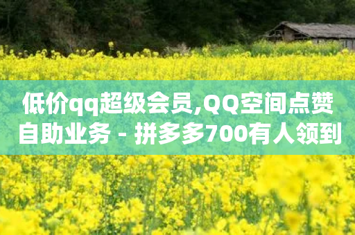 低价qq超级会员,QQ空间点赞自助业务 - 拼多多700有人领到吗 - 24小时自助下单商城下载-第1张图片-靖非智能科技传媒