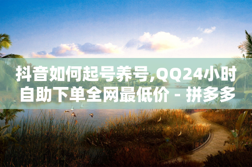 抖音如何起号养号,QQ24小时自助下单全网最低价 - 拼多多如何卖助力 - 拼多多助力太难了怎么办-第1张图片-靖非智能科技传媒