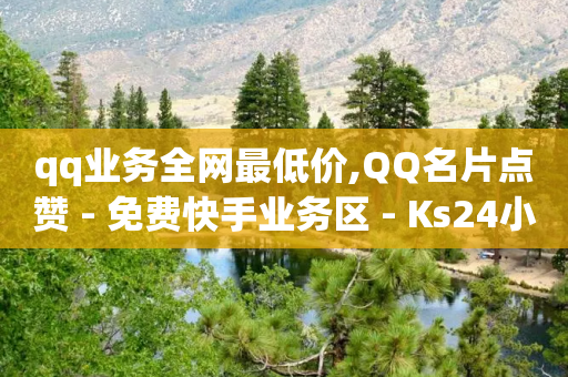 qq业务全网最低价,QQ名片点赞 - 免费快手业务区 - Ks24小时秒单业务平台低价