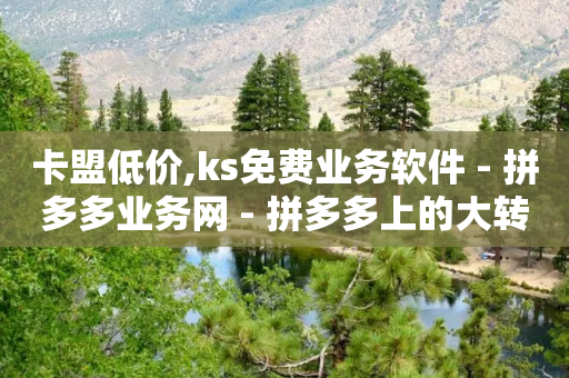 卡盟低价,ks免费业务软件 - 拼多多业务网 - 拼多多上的大转盘能提现吗-第1张图片-靖非智能科技传媒