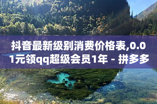 抖音最新级别消费价格表,0.01元领qq超级会员1年 - 拼多多怎么助力成功 - 拼多多怎么买助力-第1张图片-靖非智能科技传媒