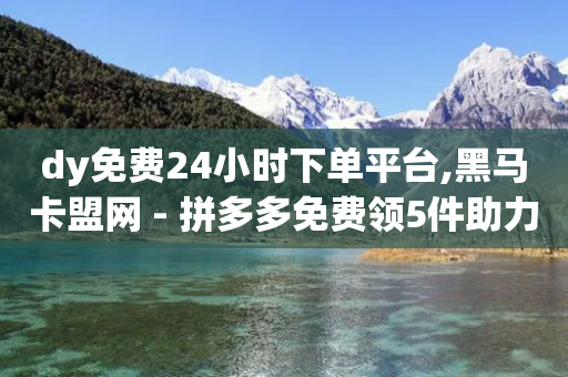 dy免费24小时下单平台,黑马卡盟网 - 拼多多免费领5件助力 - 拼多多淘宝购买助力有用吗