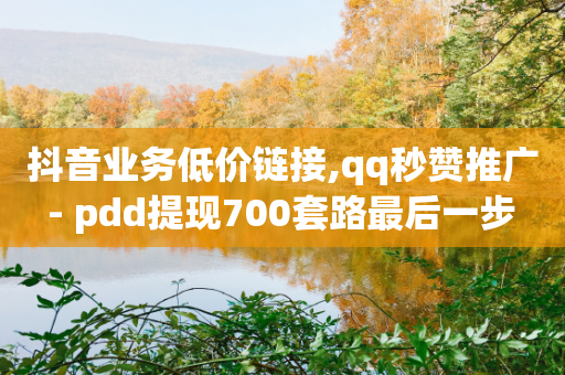 抖音业务低价链接,qq秒赞推广 - pdd提现700套路最后一步 - 微信游戏互助群2024版-第1张图片-靖非智能科技传媒