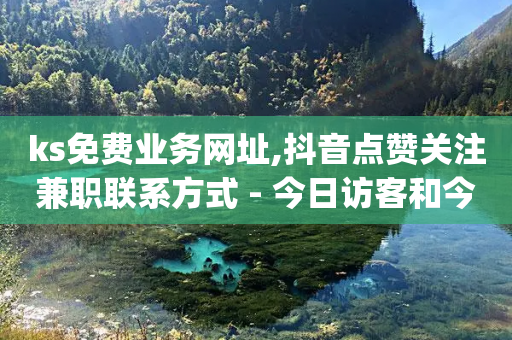 ks免费业务网址,抖音点赞关注兼职联系方式 - 今日访客和今日浏览量 - qq回赞辅助工具