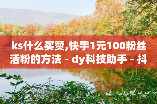 ks什么买赞,快手1元100粉丝活粉的方法 - dy科技助手 - 抖音业务下单秒到账