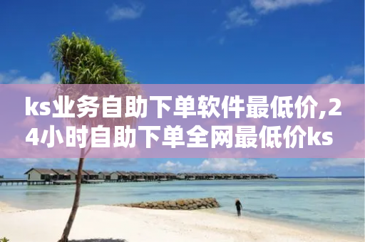 ks业务自助下单软件最低价,24小时自助下单全网最低价ks - 云小店24小时自助下单 - 拼多多助力提现现金最后一步-第1张图片-靖非智能科技传媒