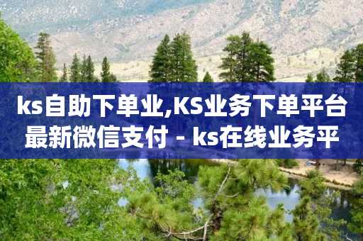 ks自助下单业,KS业务下单平台最新微信支付 - ks在线业务平台 - dy低价下单平台最便宜