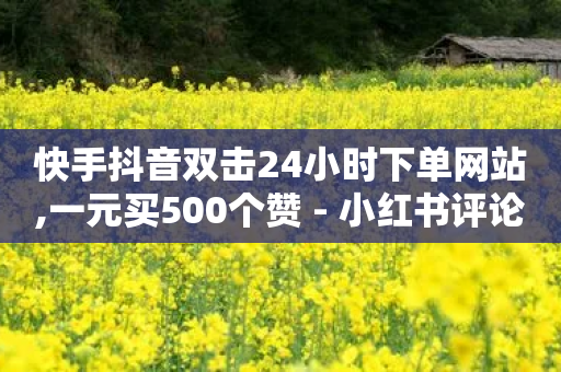 快手抖音双击24小时下单网站,一元买500个赞 - 小红书评论赞24小时下单 - 小红书点赞24小时下单平台