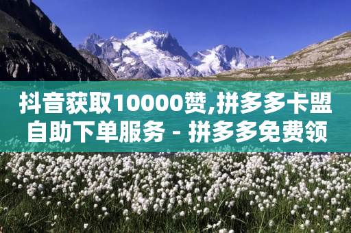 抖音获取10000赞,拼多多卡盟自助下单服务 - 拼多多免费领5件助力 - 拼多多0元免费活动助力-第1张图片-靖非智能科技传媒