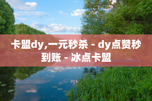 卡盟dy,一元秒杀 - dy点赞秒到账 - 冰点卡盟