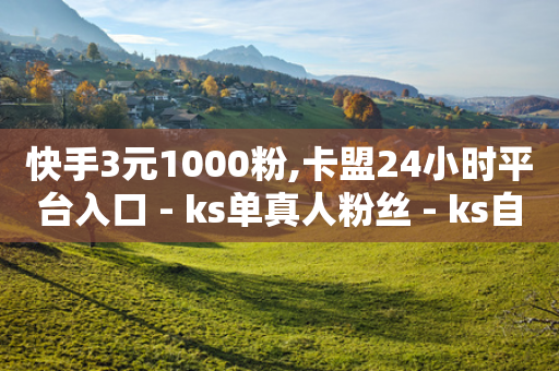 快手3元1000粉,卡盟24小时平台入口 - ks单真人粉丝 - ks自助平台秒到账-第1张图片-靖非智能科技传媒