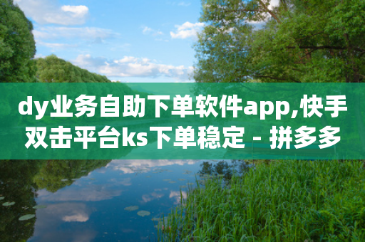 dy业务自助下单软件app,快手双击平台ks下单稳定 - 拼多多助力24小时免费 - 哪个平台可以拼多多助力-第1张图片-靖非智能科技传媒