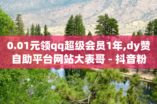 0.01元领qq超级会员1年,dy赞自助平台网站大表哥 - 抖音粉丝双击播放下单0.01大地马山房产活动 - ks秒单关注-第1张图片-靖非智能科技传媒