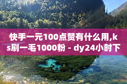 快手一元100点赞有什么用,ks刷一毛1000粉 - dy24小时下单 - 卡盟的抖音点赞是真的吗-第1张图片-靖非智能科技传媒