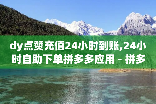 dy点赞充值24小时到账,24小时自助下单拼多多应用 - 拼多多现金大转盘助力50元 - 可以帮好友拼多多砍价