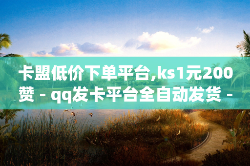 卡盟低价下单平台,ks1元200赞 - qq发卡平台全自动发货 - 发卡网自动发卡平台