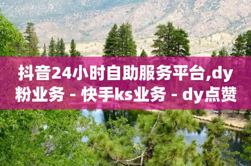 抖音24小时自助服务平台,dy粉业务 - 快手ks业务 - dy点赞下单自助平台低价-第1张图片-靖非智能科技传媒