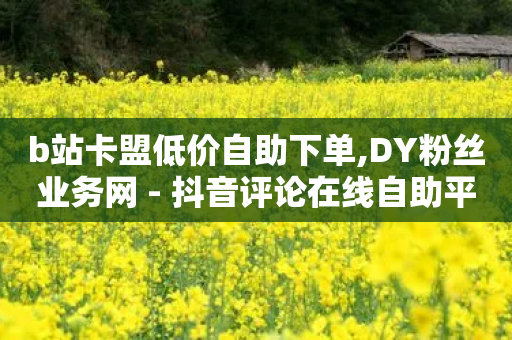 b站卡盟低价自助下单,DY粉丝业务网 - 抖音评论在线自助平台24小时 - ks和快手是一个平台-第1张图片-靖非智能科技传媒