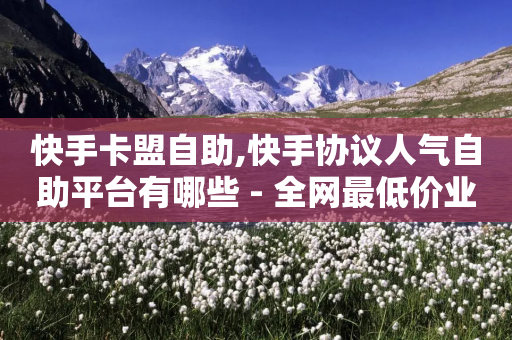 快手卡盟自助,快手协议人气自助平台有哪些 - 全网最低价业务平台官网 - 抖音卡盟全网最低价稳定卡盟-第1张图片-靖非智能科技传媒