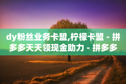 dy粉丝业务卡盟,柠檬卡盟 - 拼多多天天领现金助力 - 拼多多商家怎么设置关注店铺-第1张图片-靖非智能科技传媒