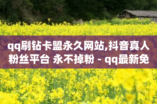 qq刷钻卡盟永久网站,抖音真人粉丝平台 永不掉粉 - qq最新免费气泡 - 云小店买赞软件下载