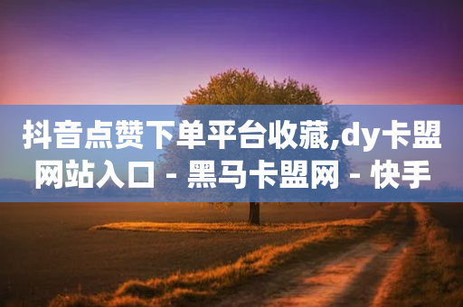 抖音点赞下单平台收藏,dy卡盟网站入口 - 黑马卡盟网 - 快手100个秒到张