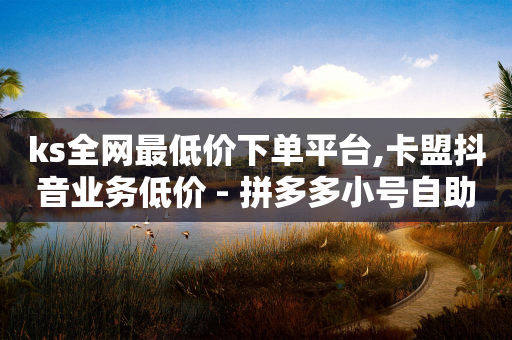 ks全网最低价下单平台,卡盟抖音业务低价 - 拼多多小号自助购买平台 - 拼多多助力免费领五件物品-第1张图片-靖非智能科技传媒