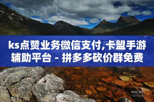 ks点赞业务微信支付,卡盟手游辅助平台 - 拼多多砍价群免费进 - ks推广自助网站-第1张图片-靖非智能科技传媒