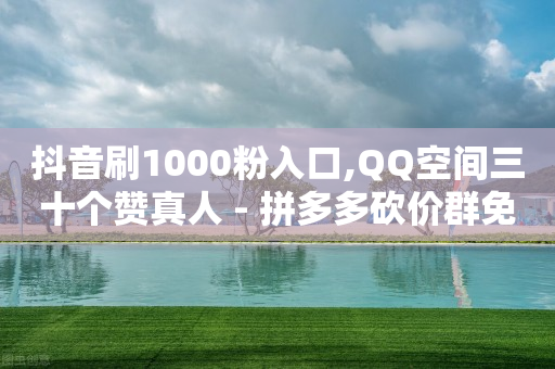 抖音刷1000粉入口,QQ空间三十个赞真人 - 拼多多砍价群免费进 - 闲鱼买拼多多助力有用吗-第1张图片-靖非智能科技传媒