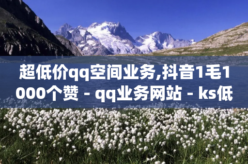 超低价qq空间业务,抖音1毛1000个赞 - qq业务网站 - ks低价下单平台业务