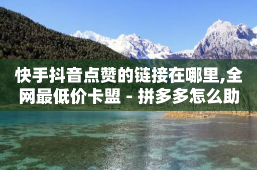 快手抖音点赞的链接在哪里,全网最低价卡盟 - 拼多多怎么助力成功 - 拼多多免费领1件是真的吗