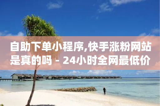 自助下单小程序,快手涨粉网站是真的吗 - 24小时全网最低价下单平台 - dy业务全网最低价