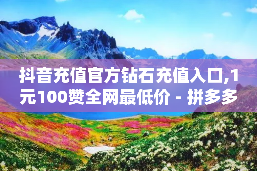 抖音充值官方钻石充值入口,1元100赞全网最低价 - 拼多多免费助力工具1.0.5 免费版 - 拼多多砍价有上限吗-第1张图片-靖非智能科技传媒