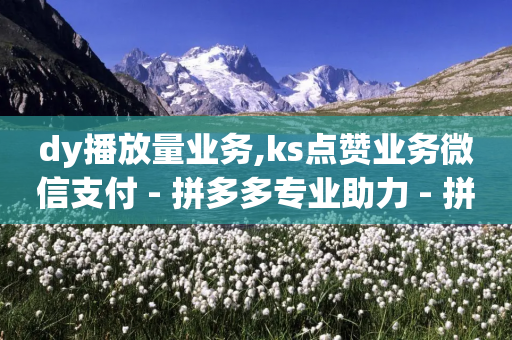 dy播放量业务,ks点赞业务微信支付 - 拼多多专业助力 - 拼多多全智能自动下单