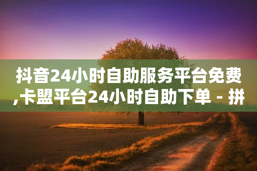 抖音24小时自助服务平台免费,卡盟平台24小时自助下单 - 拼多多天天领现金助力 - 拼多多助力团队-第1张图片-靖非智能科技传媒