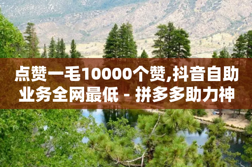 点赞一毛10000个赞,抖音自助业务全网最低 - 拼多多助力神器软件 - 拼多多助力兼职平台