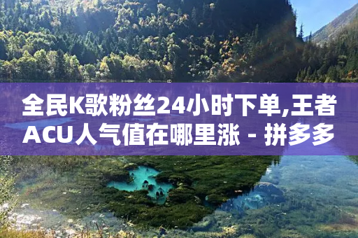 全民K歌粉丝24小时下单,王者ACU人气值在哪里涨 - 拼多多免费助力工具1.0.5 免费版 - 拼多多助力软件0元一个-第1张图片-靖非智能科技传媒