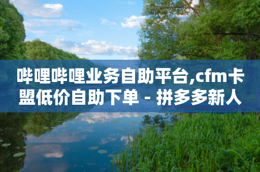 哔哩哔哩业务自助平台,cfm卡盟低价自助下单 - 拼多多新人助力网站 - 拼多多砍一刀平台-第1张图片-靖非智能科技传媒