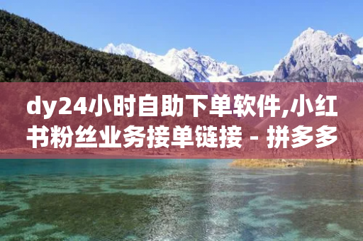 dy24小时自助下单软件,小红书粉丝业务接单链接 - 拼多多扫码助力软件 - 拼多多免费领东西攻略