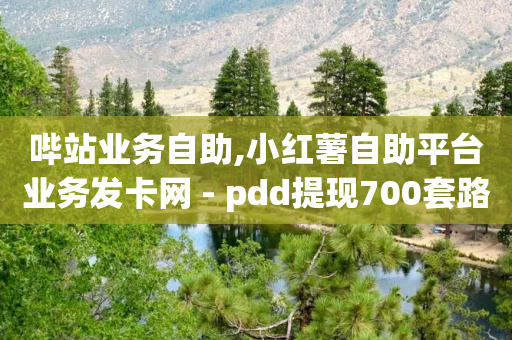 哔站业务自助,小红薯自助平台业务发卡网 - pdd提现700套路最后一步 - 拼多多小号-第1张图片-靖非智能科技传媒