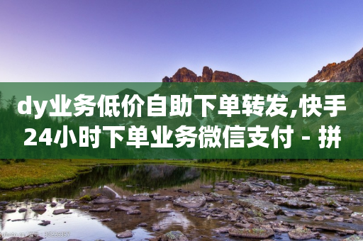 dy业务低价自助下单转发,快手24小时下单业务微信支付 - 拼多多助力机刷网站 - 拼多多提现助力群