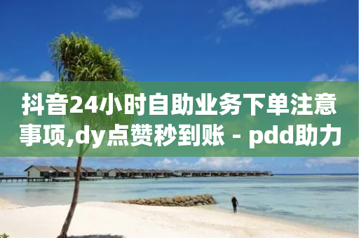 抖音24小时自助业务下单注意事项,dy点赞秒到账 - pdd助力网站 - 拼多多砍价买刀平台