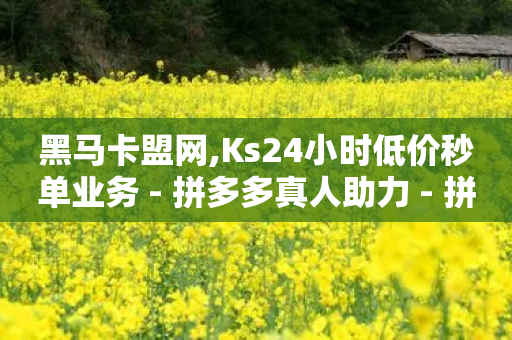 黑马卡盟网,Ks24小时低价秒单业务 - 拼多多真人助力 - 拼多多互点群二维码最新-第1张图片-靖非智能科技传媒