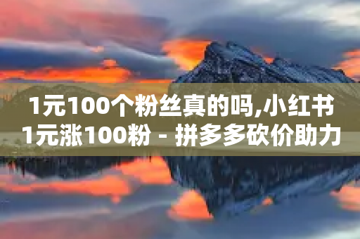 1元100个粉丝真的吗,小红书1元涨100粉 - 拼多多砍价助力网站 - 拼多多粘贴口令怎么打开-第1张图片-靖非智能科技传媒