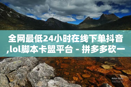 全网最低24小时在线下单抖音,lol脚本卡盟平台 - 拼多多砍一刀 - 如何查看别人拼多多订单-第1张图片-靖非智能科技传媒