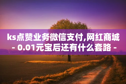 ks点赞业务微信支付,网红商城 - 0.01元宝后还有什么套路 - 网购的爪刀客服说是正规刀具