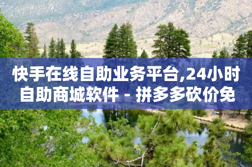 快手在线自助业务平台,24小时自助商城软件 - 拼多多砍价免费拿商品 - 现金大转盘总金额怎么看-第1张图片-靖非智能科技传媒