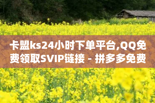 卡盟ks24小时下单平台,QQ免费领取SVIP链接 - 拼多多免费助力工具1.0.5 免费版 - 闲鱼上pdd有砍成功的吗